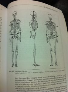 skeleton posture